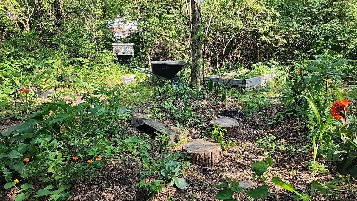 A hive within a lush planted garden, surrounded by flowers, trees, growing beds and mulched paths