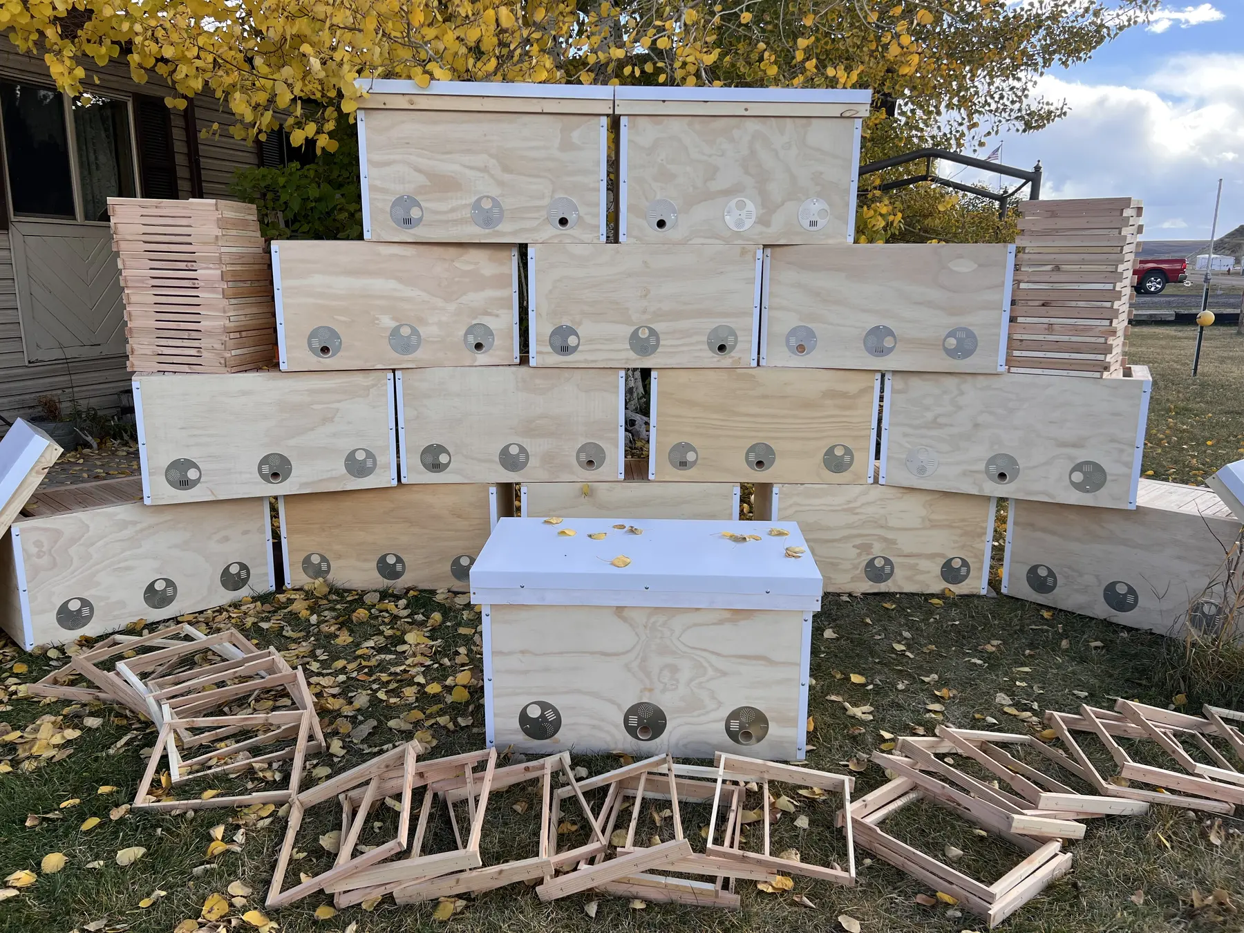 A large group of Mysliwiec Family Farm Generational Hives and Layens frames ready for apiary use