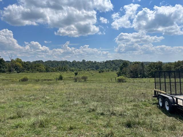 Open pasture with a flatbed trailer, before any excavation.